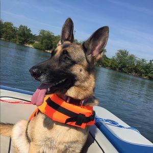 Meet your Posher, Fallon